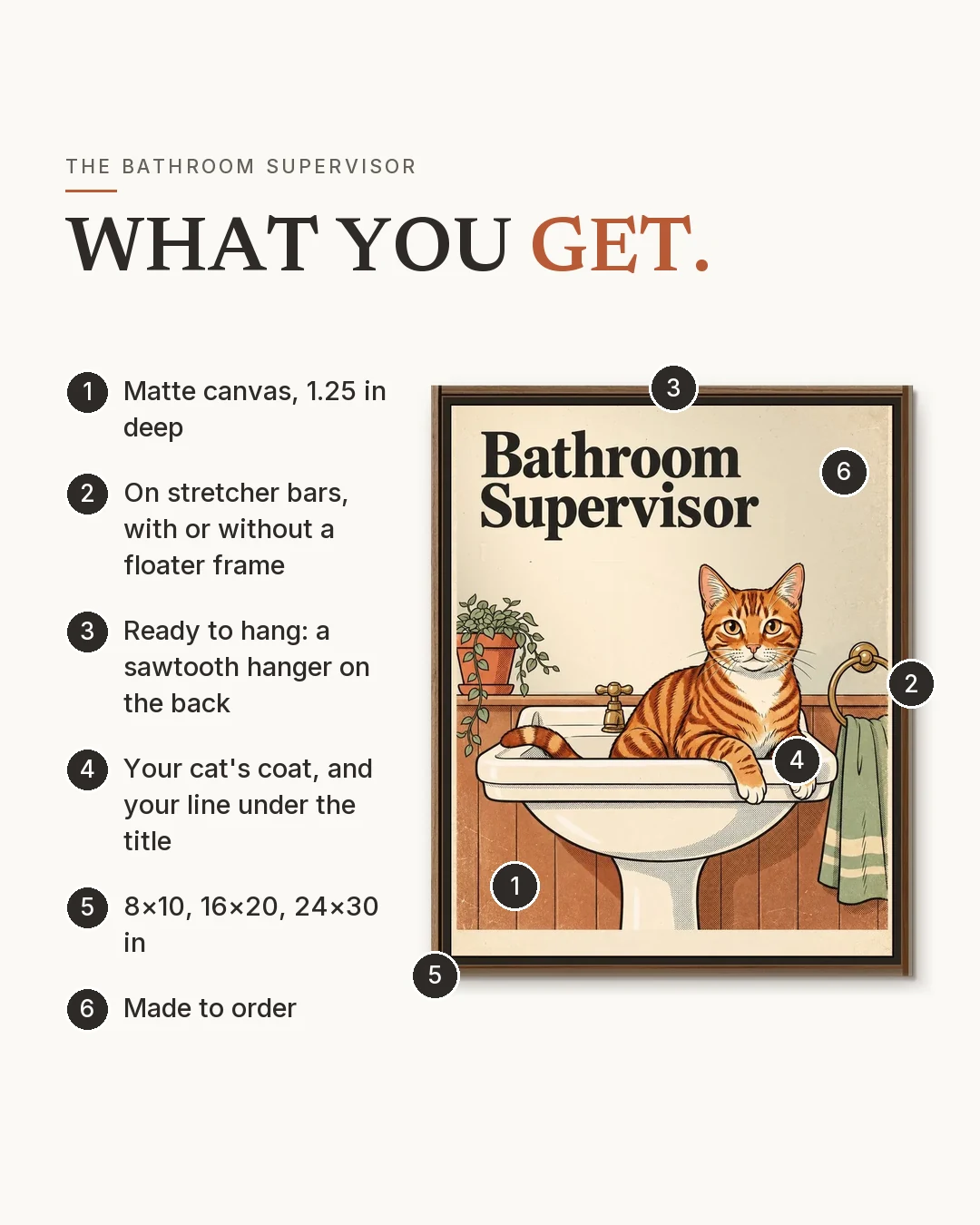 The Bathroom Supervisor: what you get, in six numbered points: matte canvas, 1.25 in deep; on stretcher bars, with or without a floater frame; ready to hang, a sawtooth hanger on the back; your cat's coat and your line under the title; 8 × 10, 16 × 20 or 24 × 30 in; made to order.